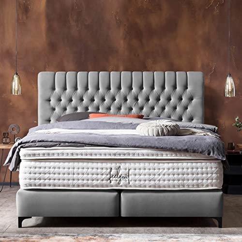 BettCo Chester Velours Boxspringbett 180x200 Dunkelgrau