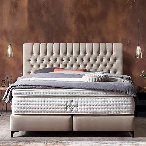 BettCo Chester Velours Boxspringbett 180x200 Dunkelgrau