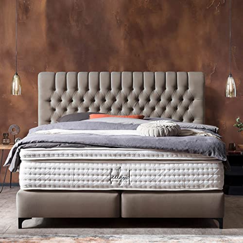 BettCo Chester Velours Boxspringbett 180x200 Dunkelgrau