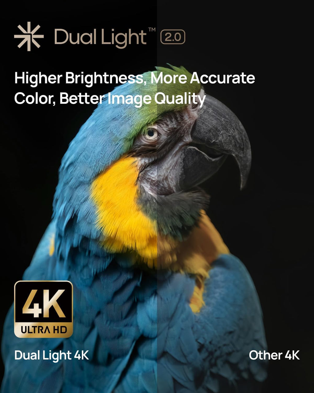 XGIMI Horizon S Pro 4K Beamer Dolby Vision 1800 ISO Lumen Schwarz