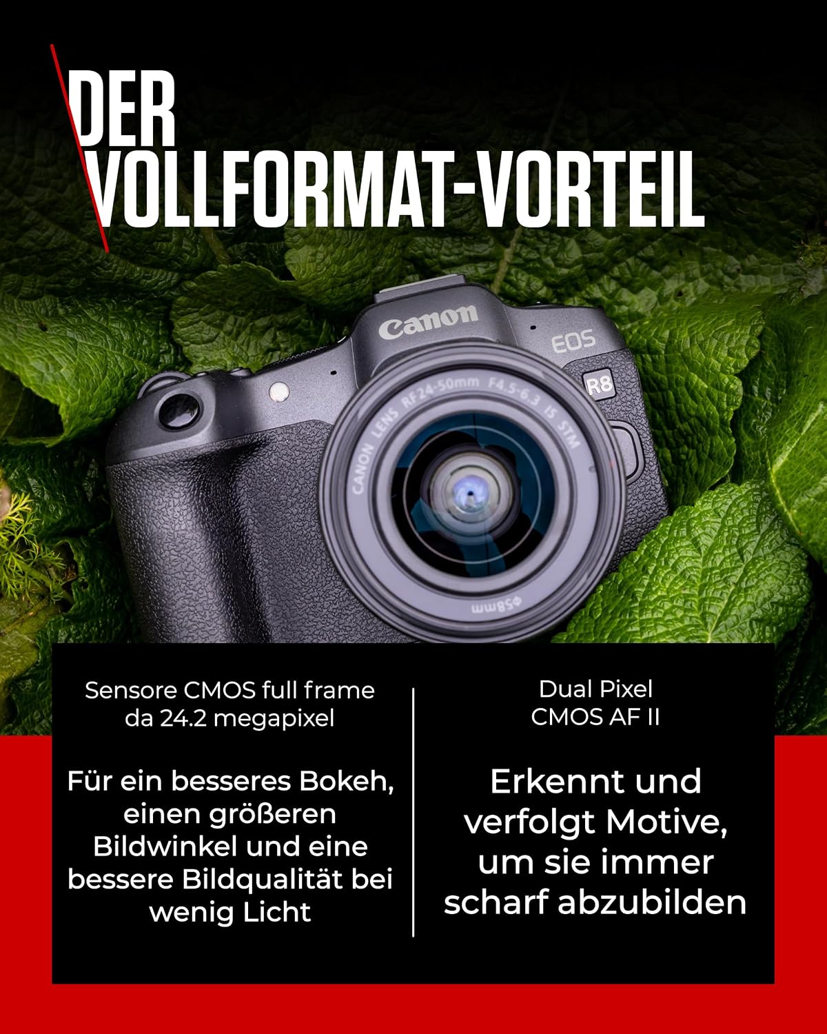 Canon EOS R8 + RF 24-50mm F4.5-6.3 IS STM Systemkamera 24,2 MP Schwarz